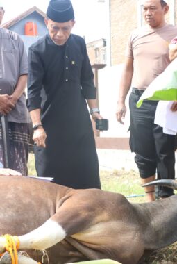 Siapkan 11 Ekor Sapi Qurban, Fantry: Wujud Peduli Personel Polres Sidrap