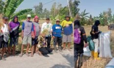 Di Tengah Kemarau, Petani di Kelurahan Kadidi Tetap Bisa Panen Berkat Program Listrik Masuk Sawah