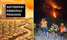 Kemarau Panjang, Bupati Enrekang Himbau Waspadai Karhutla dan Krisis Air